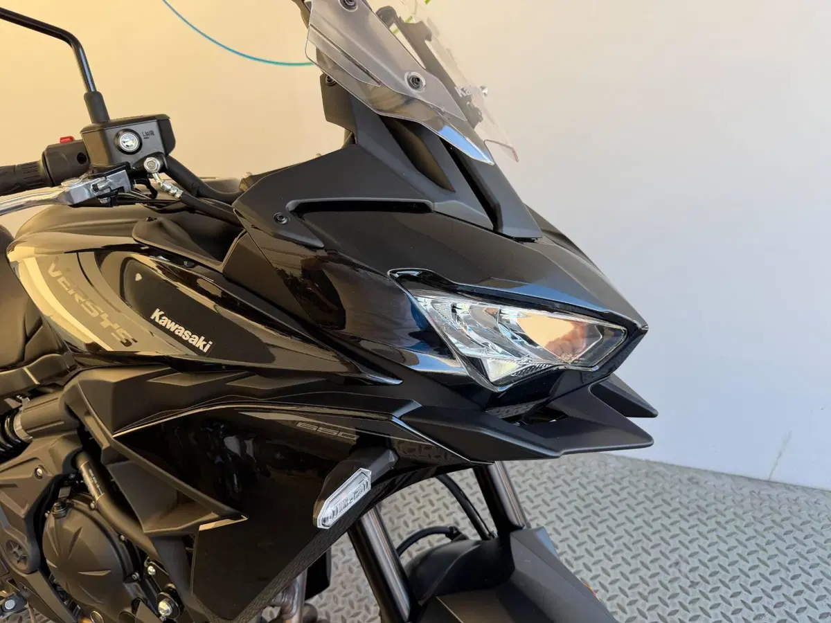 Kawasaki Versys 650 (2025 - 26) (2)