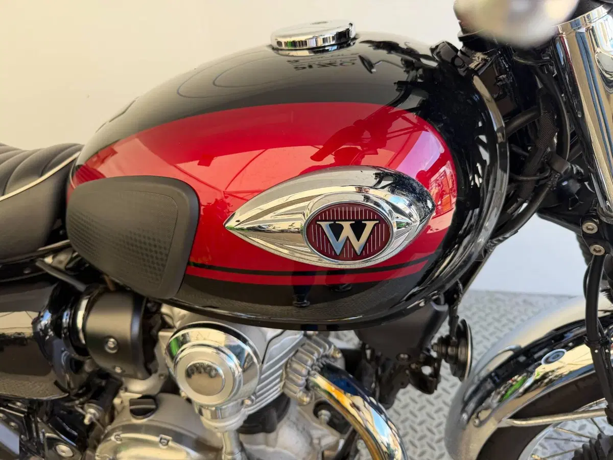 Kawasaki W 800 (2021 - 26) (2)