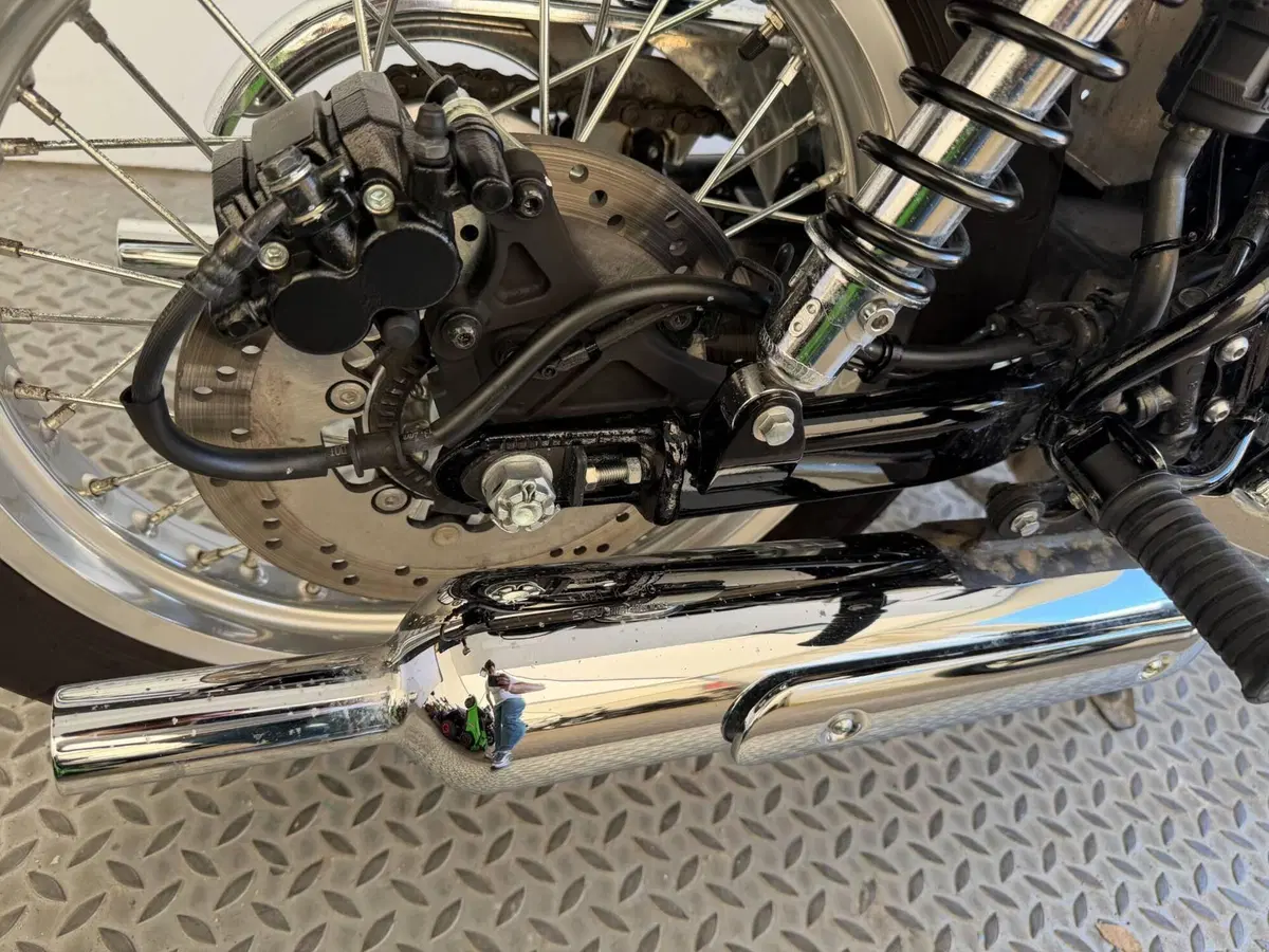 Kawasaki W 800 (2021 - 26) (6)