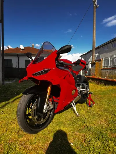 Ducati Panigale V4 S (2025 - 26) usata