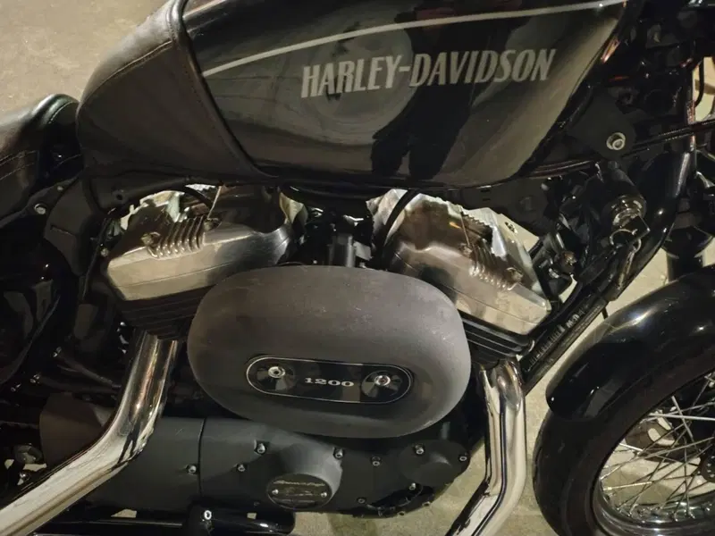 Harley-Davidson XL 1200N Nightster (2008 - 12) (6)