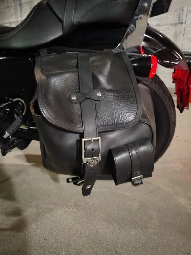 Harley-Davidson XL 1200N Nightster (2008 - 12) (7)
