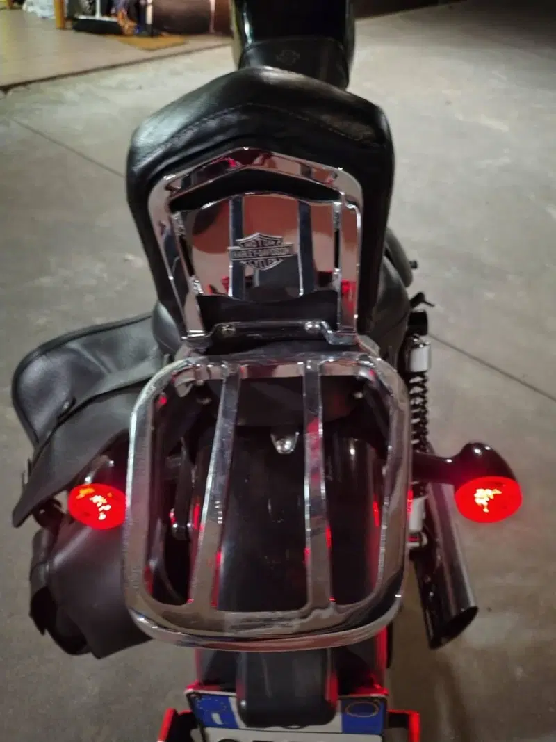 Harley-Davidson XL 1200N Nightster (2008 - 12) (9)