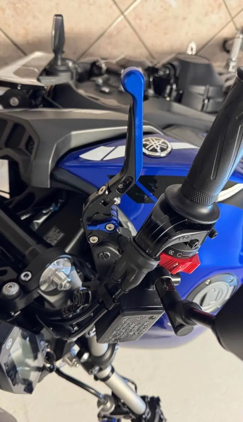 Yamaha MT-09 (2017 - 20) (4)
