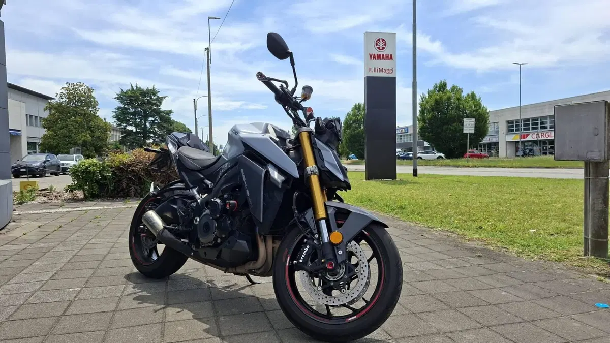 Suzuki GSX-S1000 (2021 - 25)