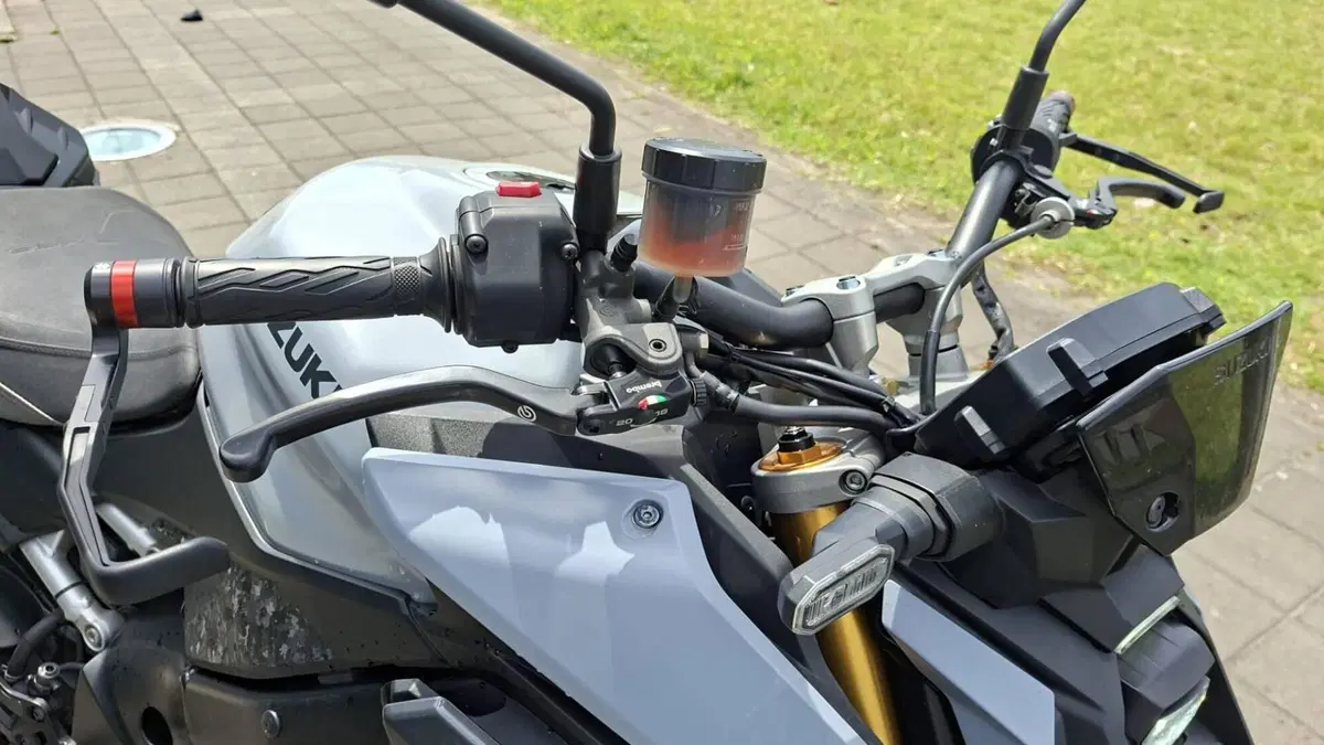 Suzuki GSX-S1000 (2021 - 25) (7)