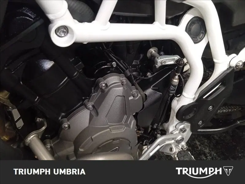 Triumph Tiger 900 Rally Pro (2020 - 23) (5)