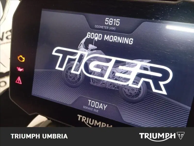 Triumph Tiger 900 Rally Pro (2020 - 23) (7)