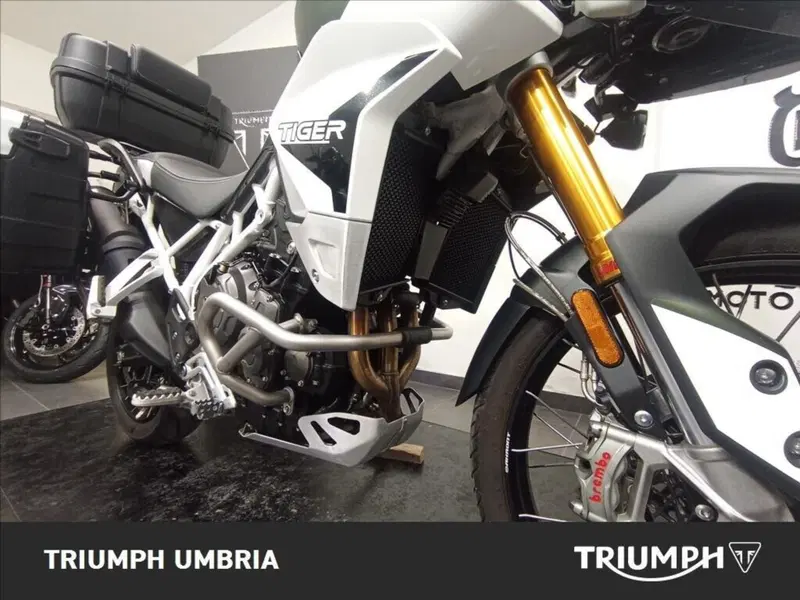 Triumph Tiger 900 Rally Pro (2020 - 23) (4)