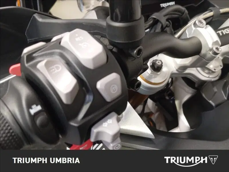 Triumph Tiger 900 Rally Pro (2020 - 23) (6)