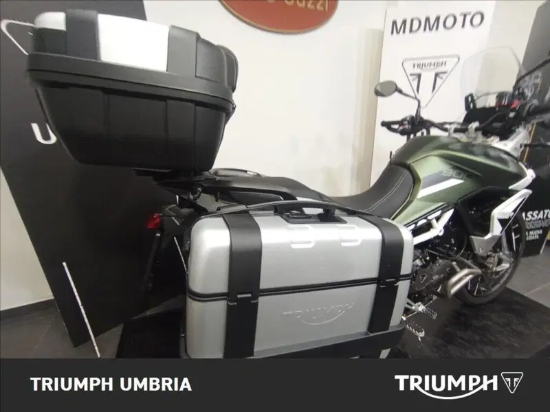 Triumph Tiger 900 Rally Pro (2020 - 23) (8)