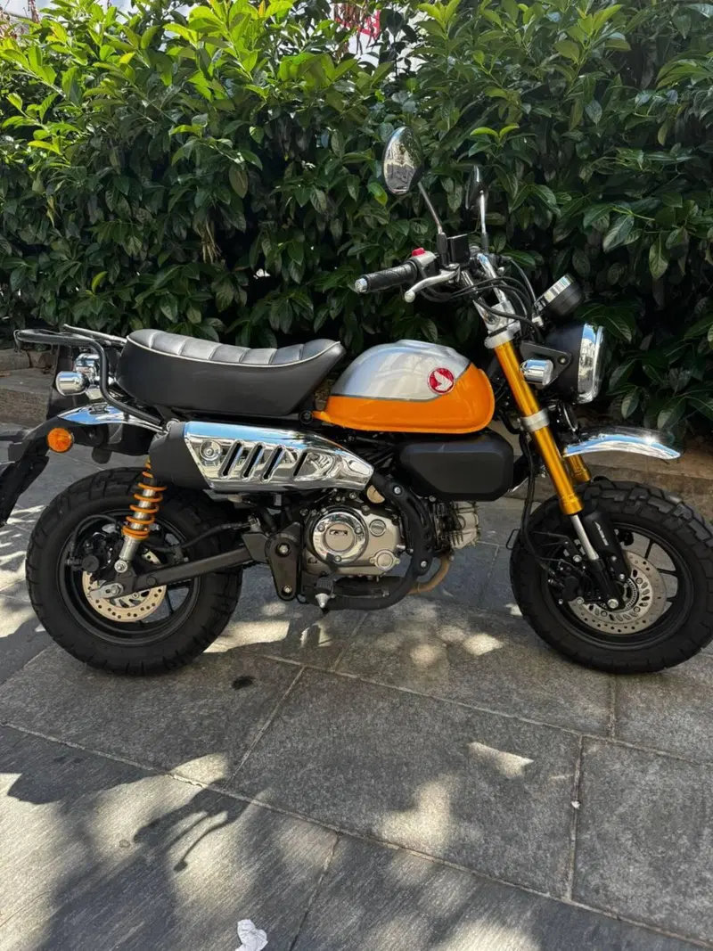Honda Monkey 125 (2022 - 24) (2)
