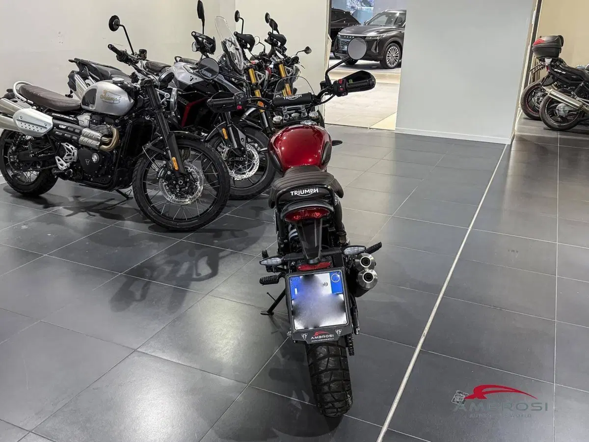 Triumph Scrambler 400 X (2024 - 26) (2)