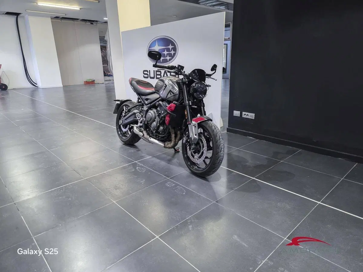 Triumph Trident 660 (2025) (3)
