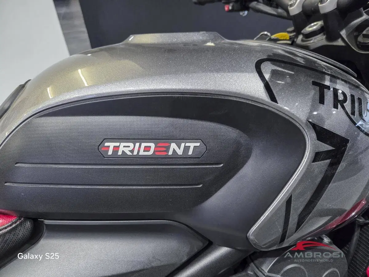 Triumph Trident 660 (2025) (5)