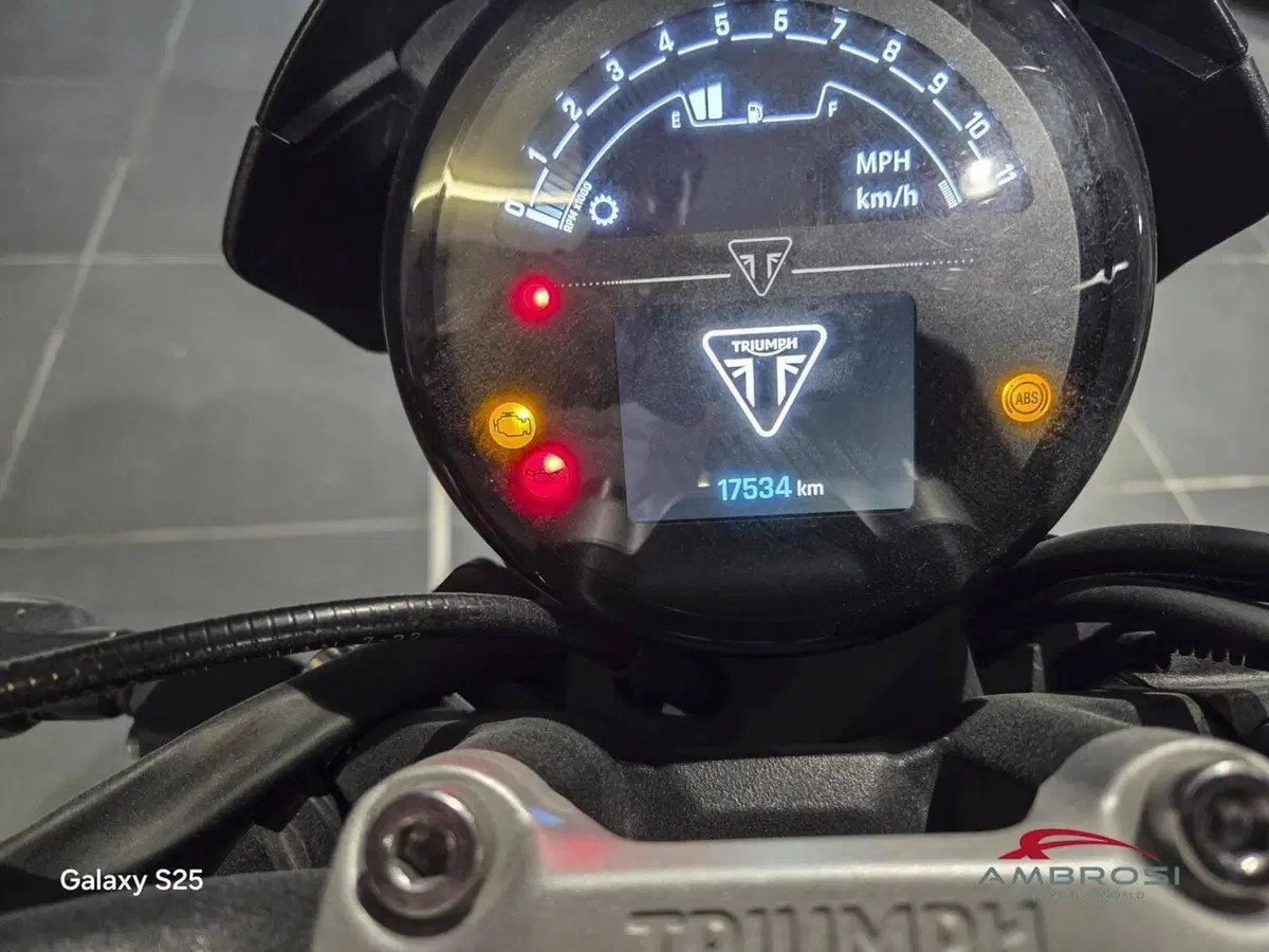 Triumph Trident 660 (2025) (8)