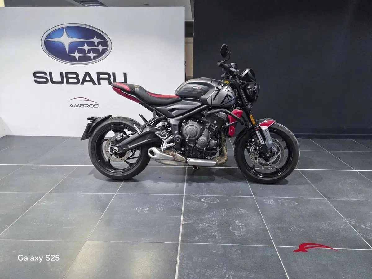 Triumph Trident 660 (2025) (11)