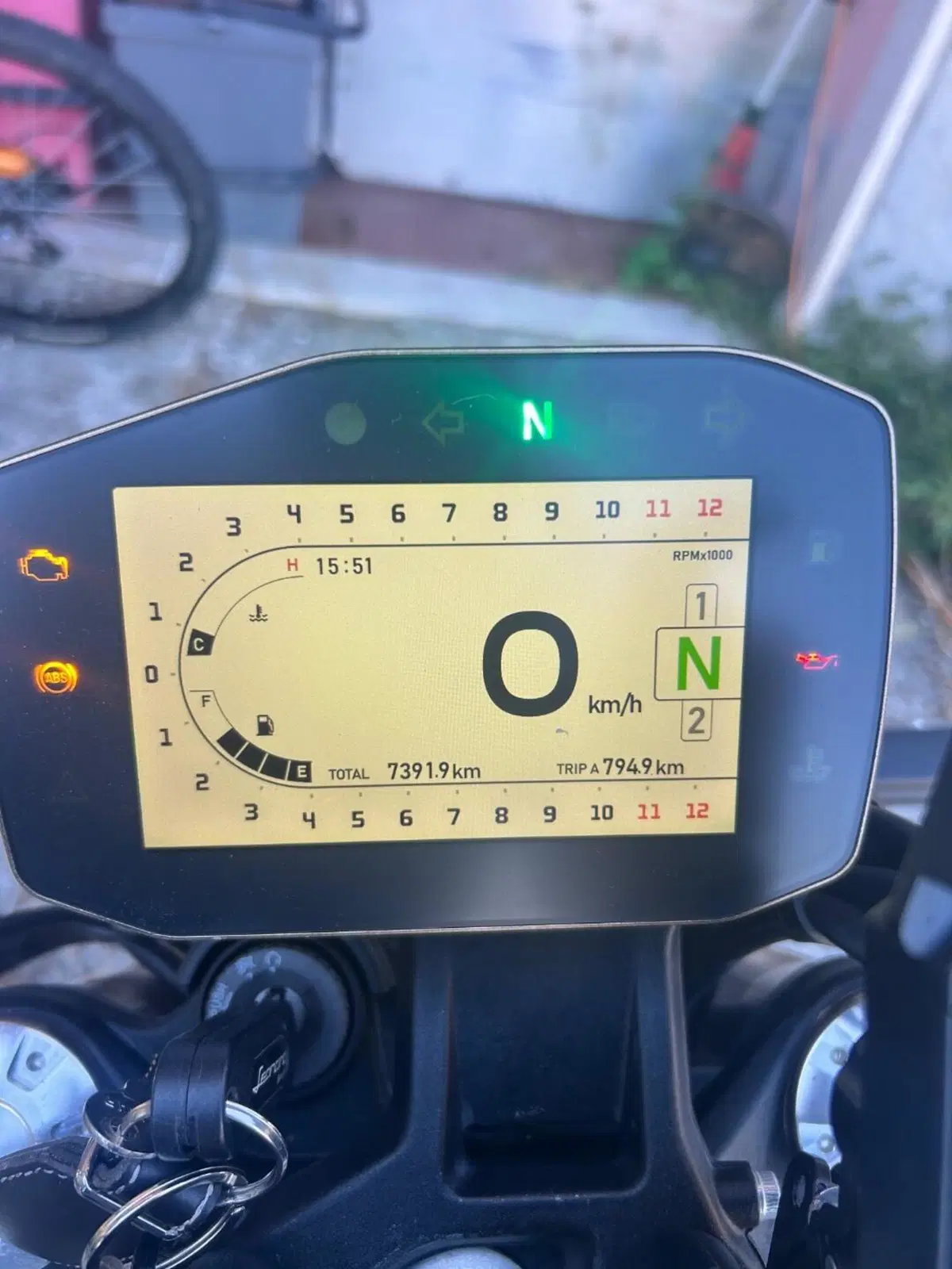 Benelli Leoncino 800 (2022 - 26)