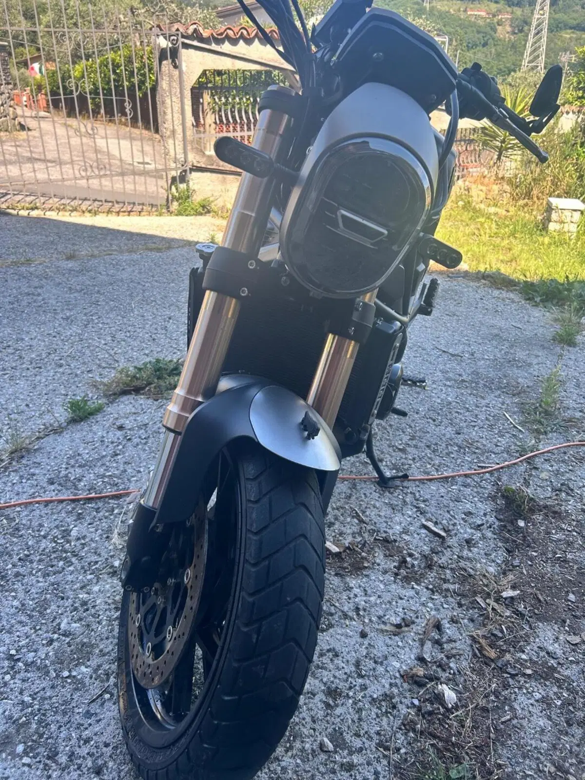 Benelli Leoncino 800 (2022 - 26) (2)