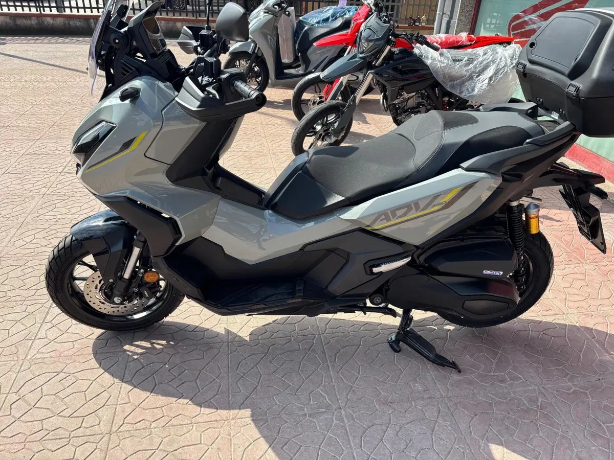 Honda ADV 350 Special Edition (2025 - 26) (3)