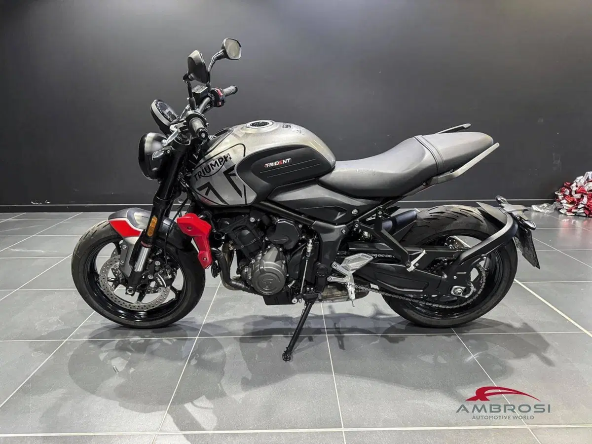 Triumph Trident 660 (2021 - 24) (4)