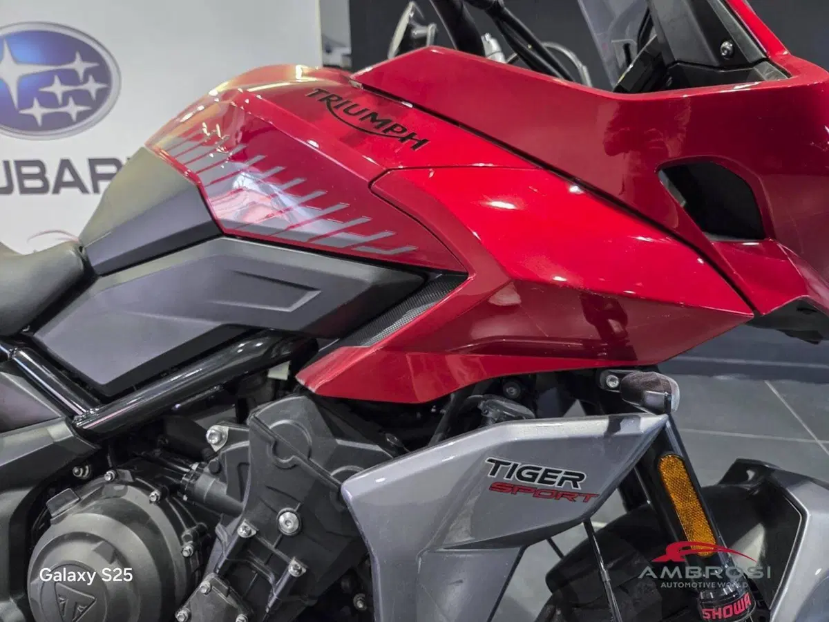 Triumph Tiger Sport 660 (2022 - 24) (11)