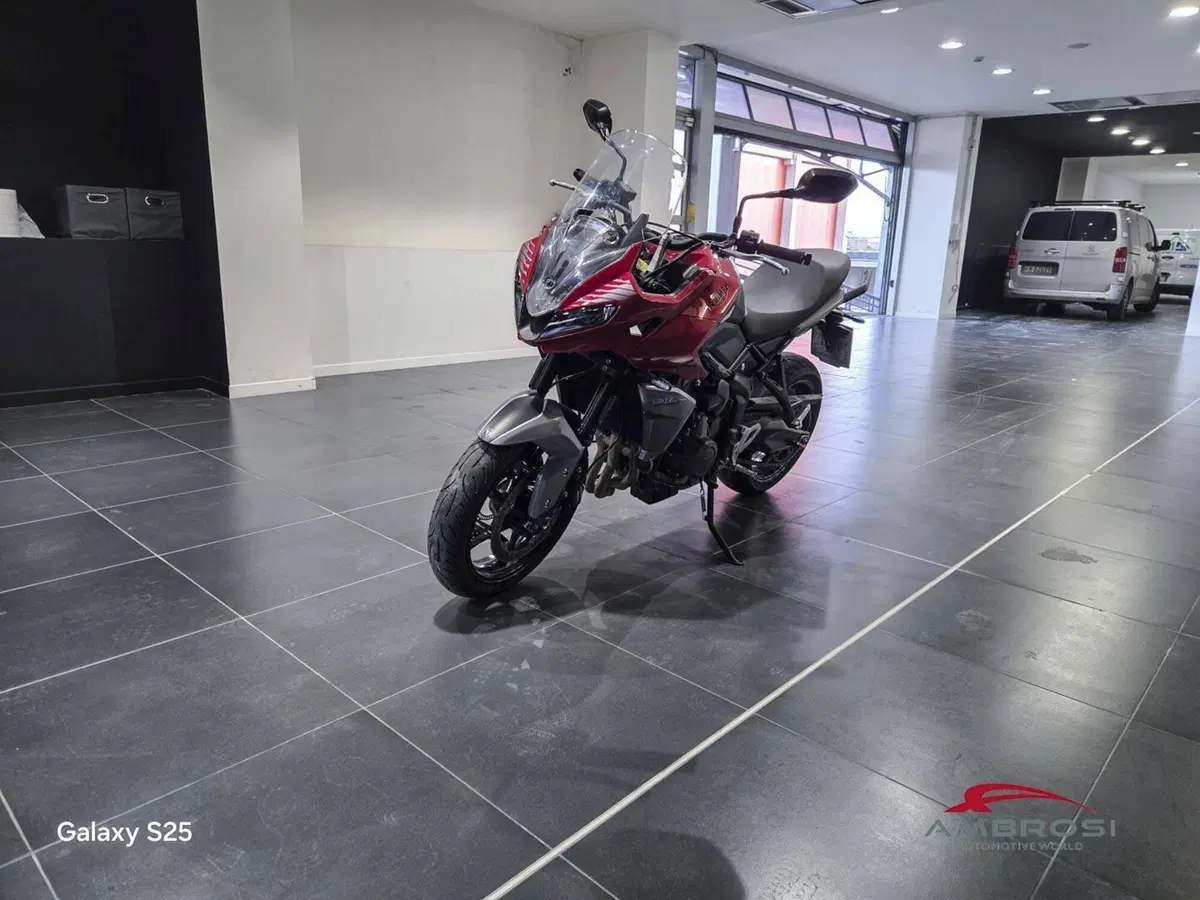 Triumph Tiger Sport 660 (2022 - 24) (12)