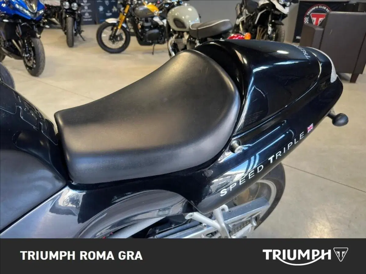 Triumph Speed Triple 955 (1998 - 01) (13)