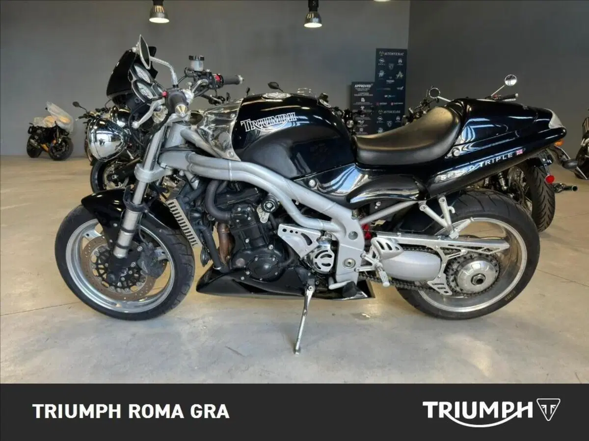 Triumph Speed Triple 955 (1998 - 01) (3)