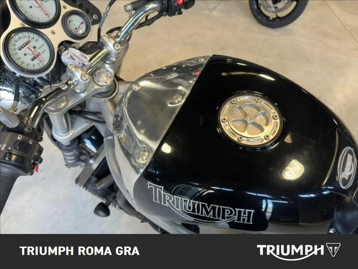 Triumph Speed Triple 955 (1998 - 01) (15)