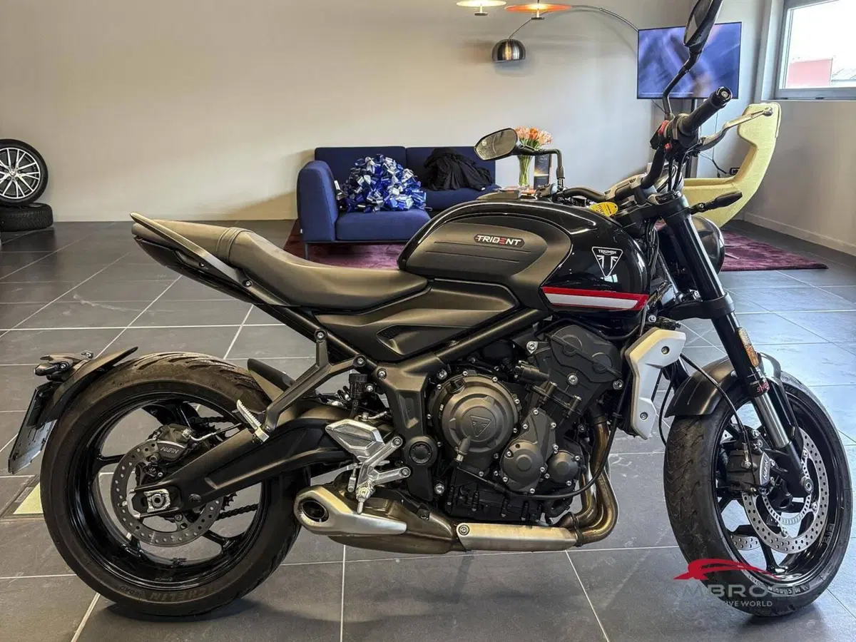 Triumph Trident 660 (2021 - 24) (2)