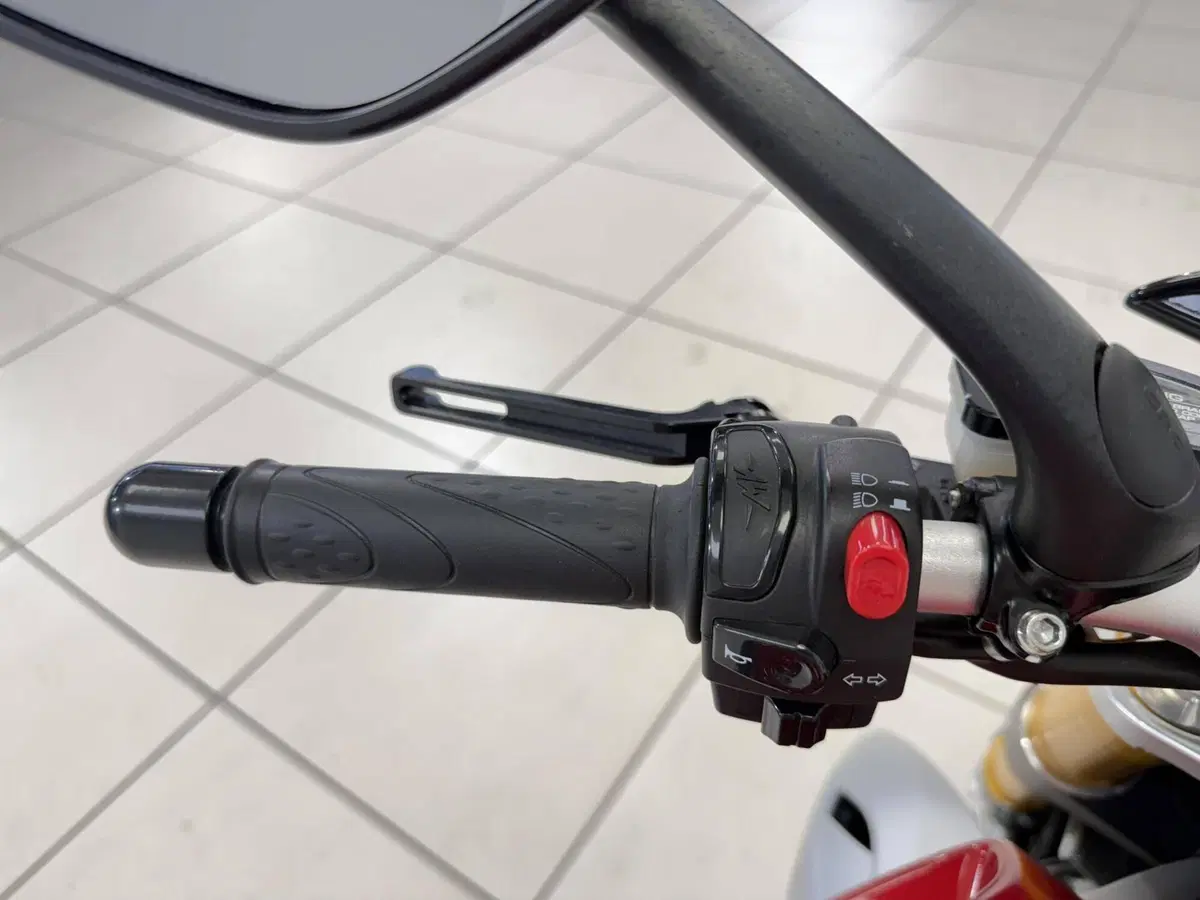 MV Agusta Brutale 1090 RR ABS (2009 - 19) (9)