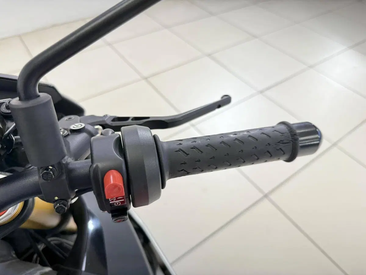 Aprilia Tuono V4 RR (2019 - 20) (10)