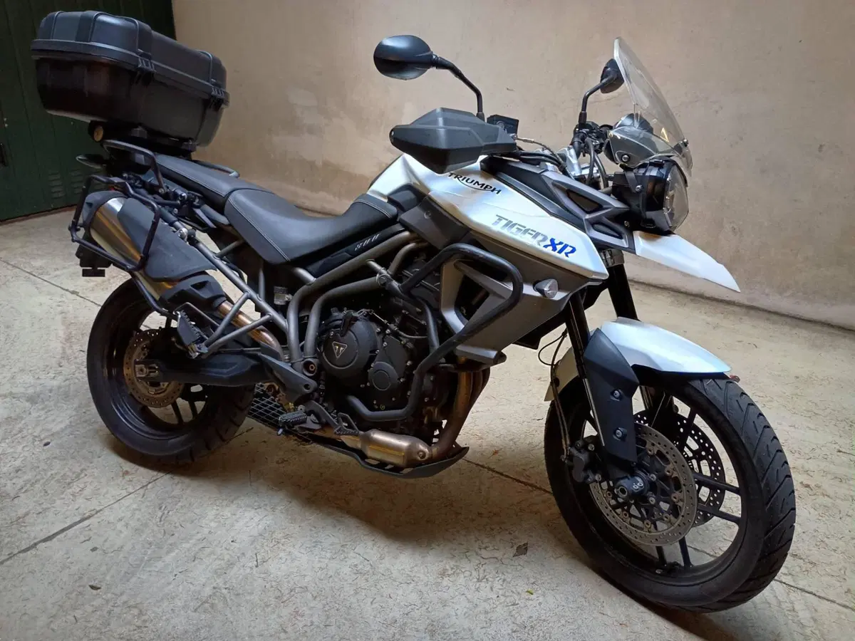 Triumph Tiger 800 XR (2015 - 17) (2)