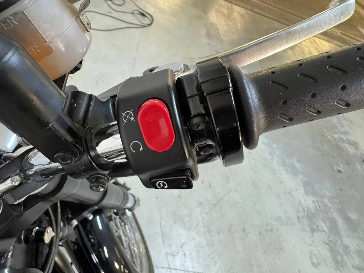 Triumph Scrambler (2006 - 17) (8)