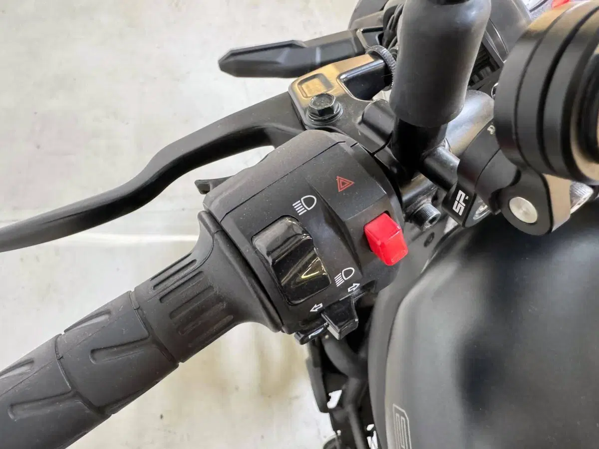 Kawasaki Eliminator 500 SE (2024 - 26) (7)
