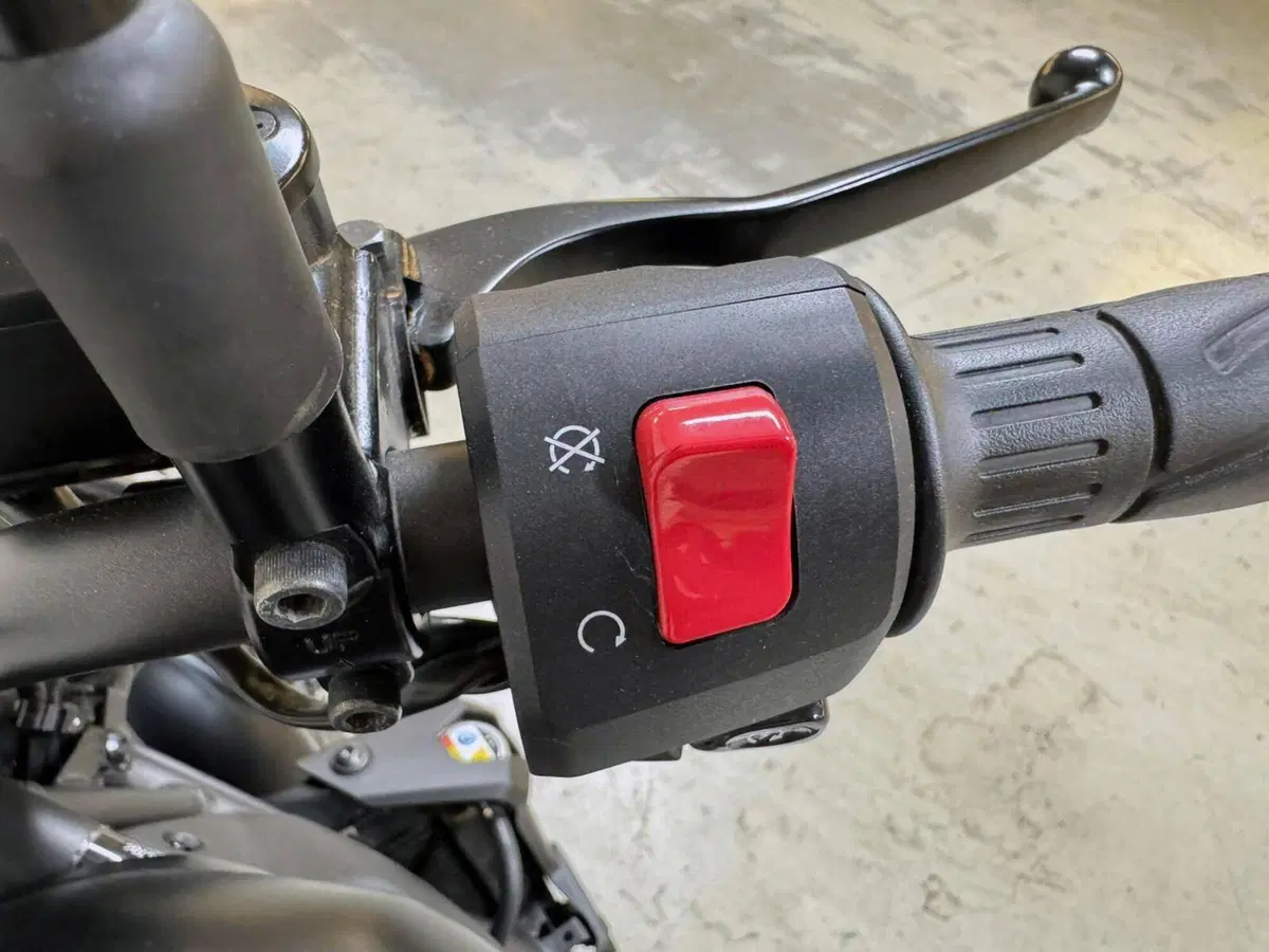Kawasaki Eliminator 500 SE (2024 - 26) (8)