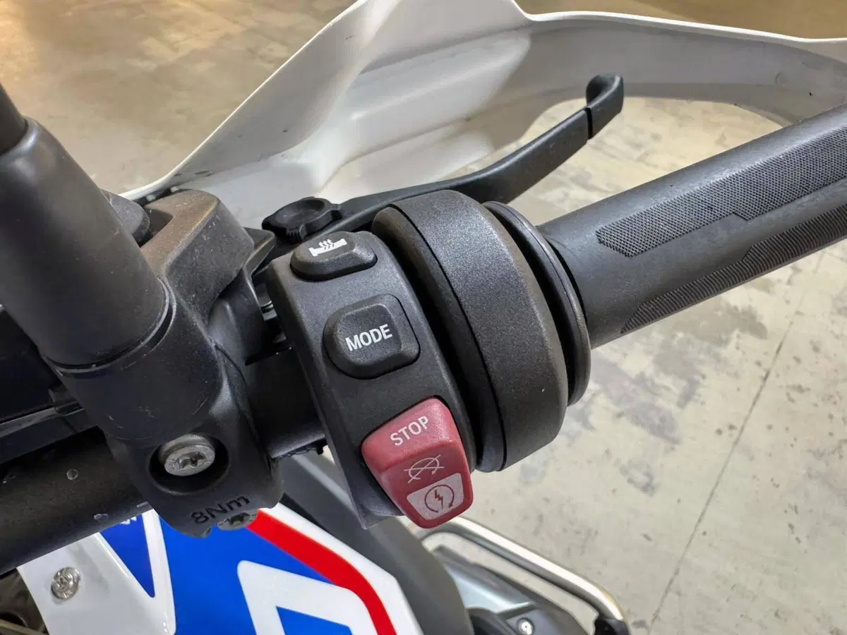 Bmw R 1250 GS (2019 - 20) (8)