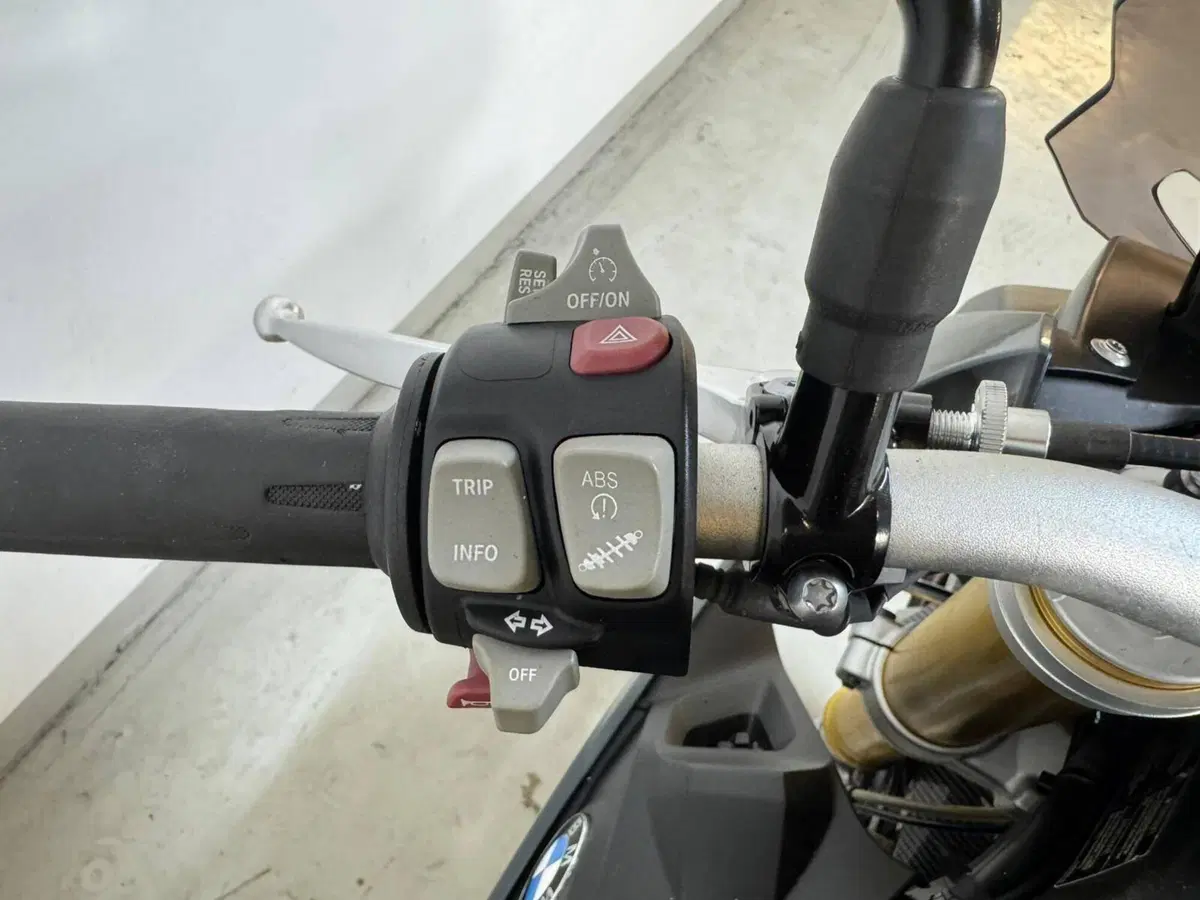Bmw S 1000 R (2017 - 20) (6)