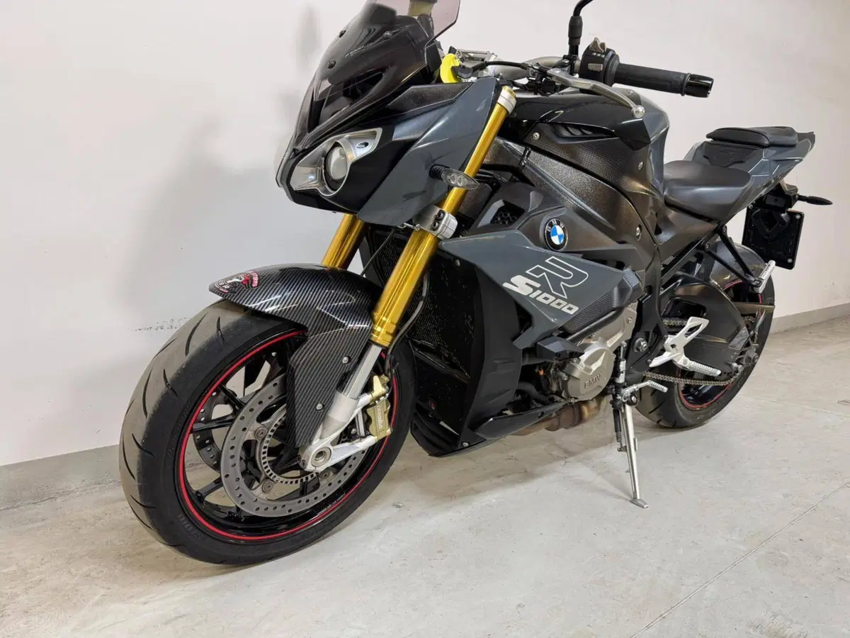 Bmw S 1000 R (2017 - 20) (8)