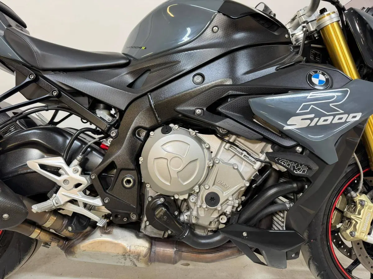 Bmw S 1000 R (2017 - 20) (10)