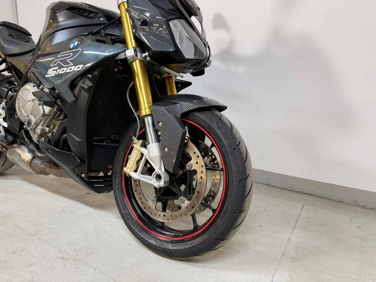 Bmw S 1000 R (2017 - 20) (11)