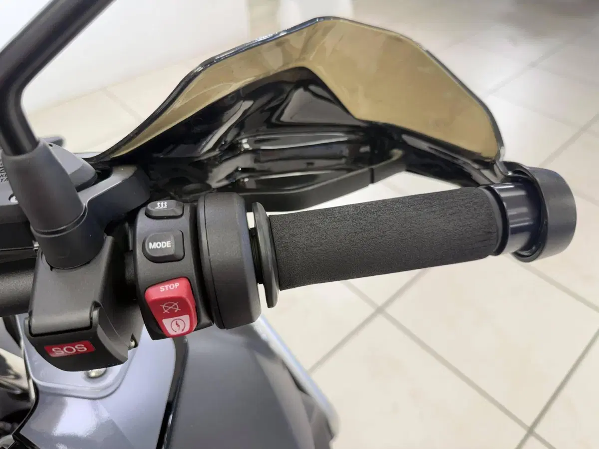 Bmw R 1250 GS Adventure (2021 - 24) (11)