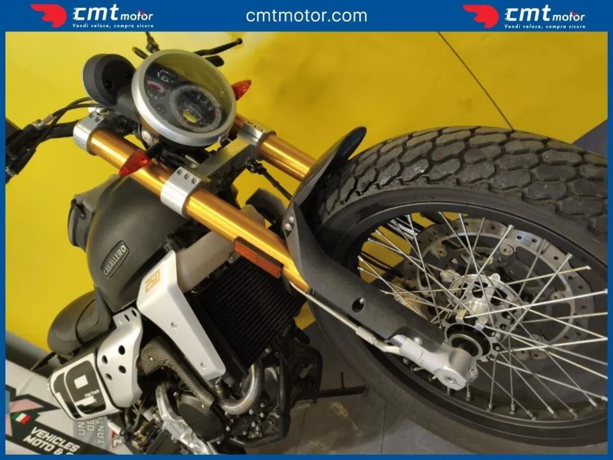 Fantic Motor Caballero 250 Flat Track (2018 - 21) (6)