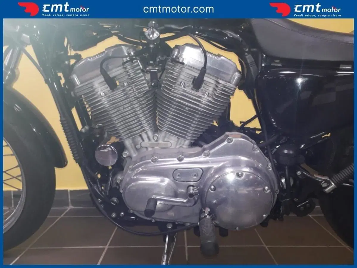 Harley-Davidson 883 Standard (2001 - 05) - XL 883 (10)