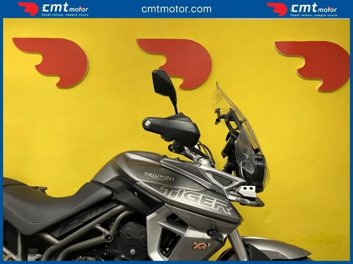 Triumph Tiger 800 XRt (2018 - 20) (9)