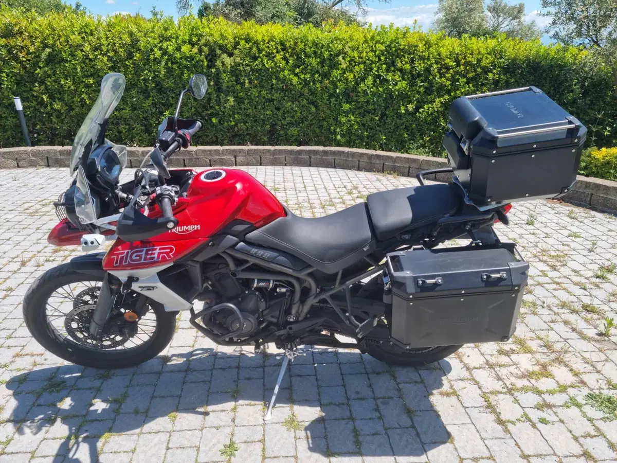 Triumph Tiger 800 XCa (2018 - 20) (6)