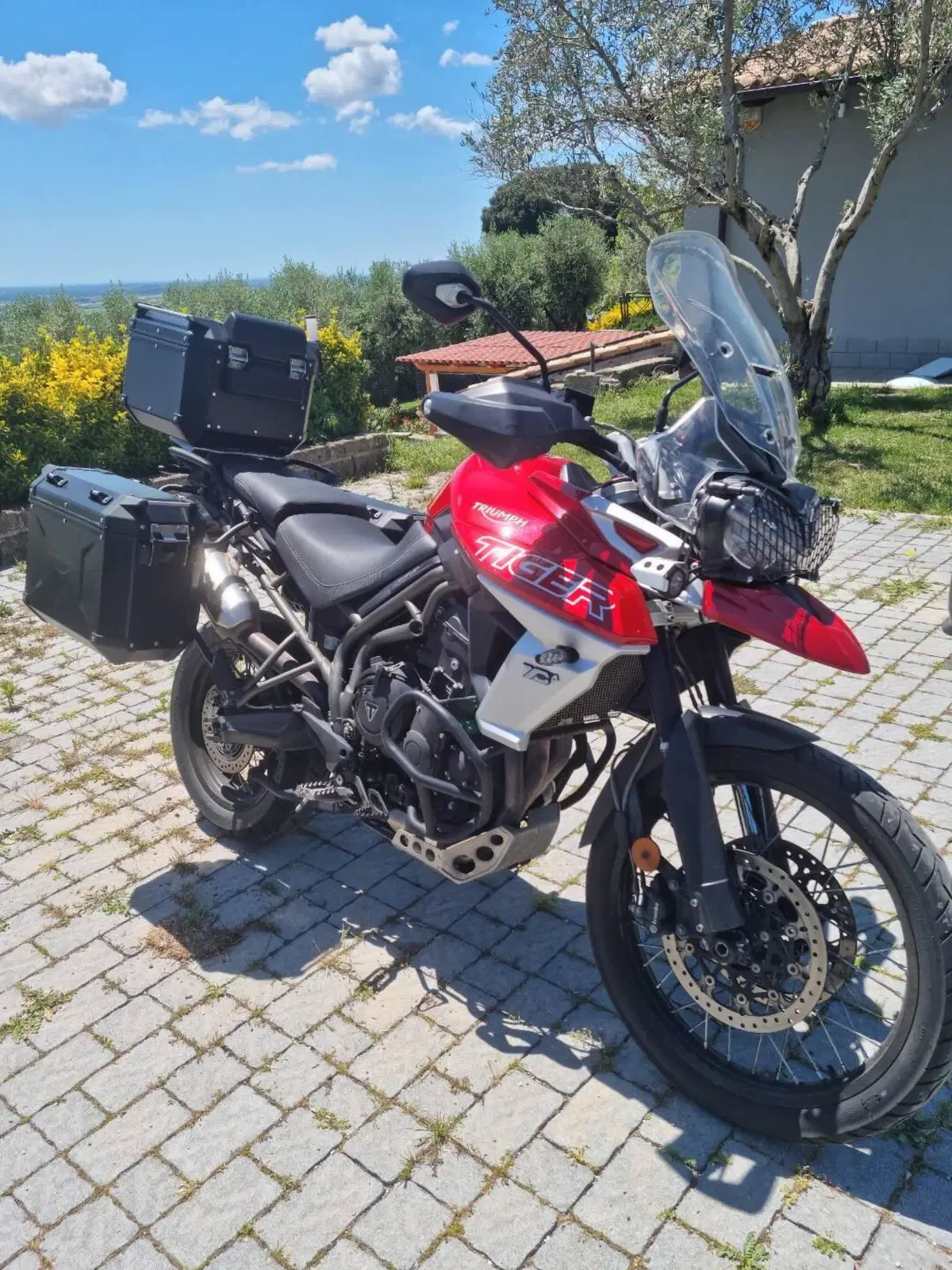 Triumph Tiger 800 XCa (2018 - 20) (7)