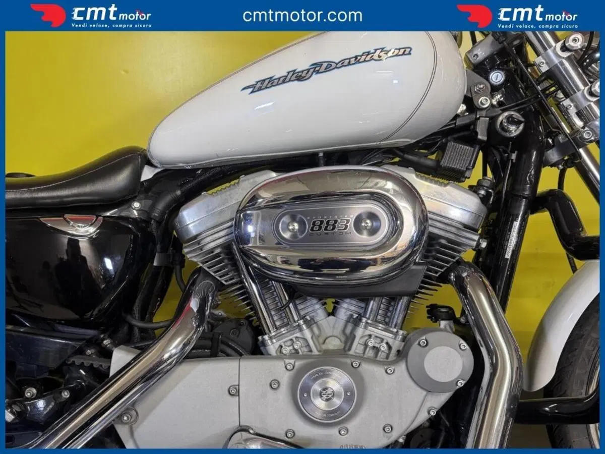 Harley-Davidson 883 Standard (2001 - 05) - XL 883 (6)
