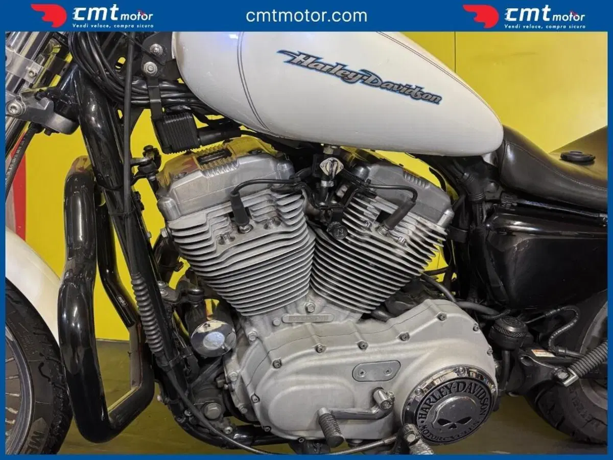 Harley-Davidson 883 Standard (2001 - 05) - XL 883 (7)